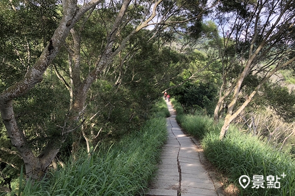 步道沿著稜線走，沿途常有遼闊景觀。 (圖／景點+ Ellen，以下同)