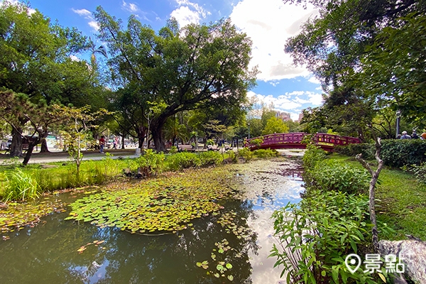 興隆公園豐富的水生植物