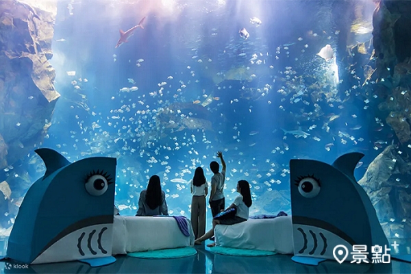 Xpark夜宿Blu Night 宿海奇遇方案，特殊的海洋生物造型搭配頂級充氣床鋪，兼具隱私與舒適度。（圖／Klook，以下同）