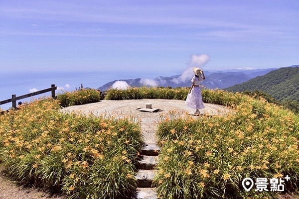 太麻里金針山制高點可將黃金花海和藍海一同入鏡。 (圖／laiyuping9520)