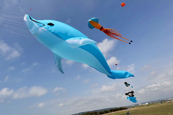 來自紐西蘭的15米夜光海豚風箏於新竹市風箏節限定登場。