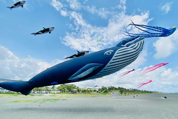 新竹市國際風箏節預計有近千隻風箏在空中飛舞。