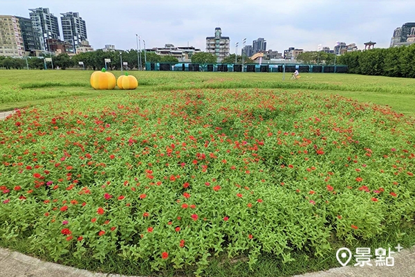 花海搭配上黃澄澄的大南瓜裝置藝術與月亮座椅，童趣十足。