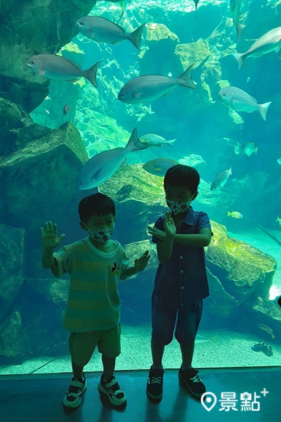 X-PARK八景島水族館