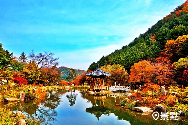 晨靜樹木園