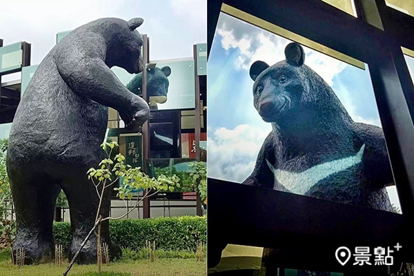 逐鹿文創園區6米高的巨大台灣黑熊出沒！（圖／erin_ss.89）