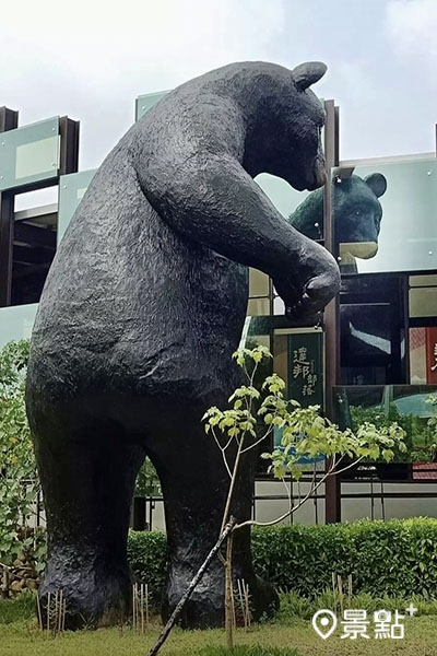 探頭探腦的台灣黑熊模樣相當可愛。（圖／erin_ss.89，以下同）