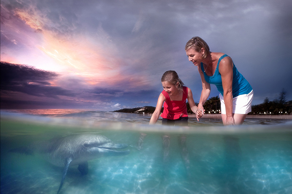 「澳洲黃金海岸海豚島7日」入住2晚天閣露瑪渡假村，體驗親手餵海豚，每人60,800元起。