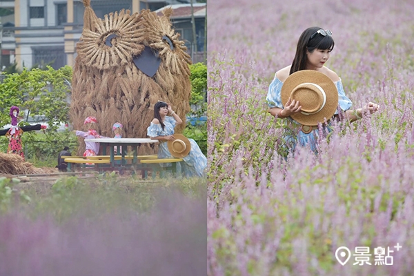 三界埔仙草花田稻草貓頭鷹美景。 (圖／emmayang1017，以下同)