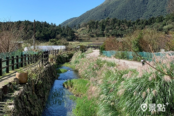 步道捨棄無法透水的混凝土，降低環境衝擊，減少碳足跡。(圖 / 台北市政府 ）