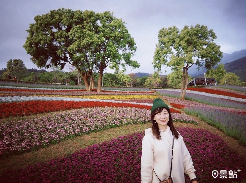 台版富良野花海公園免費賞！400年歷史溯源在地文化踩點有意思