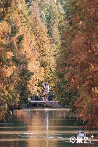 三灣落羽松水上景觀台，能拍出被漸層森林包圍的浪漫場景。(圖／syl.vislife，以下同)