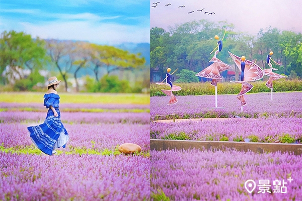「仙茶之舞」化身為在花海中的優雅舞者，在紫色花海中展現曼妙舞姿。（圖／yuxin_ling）