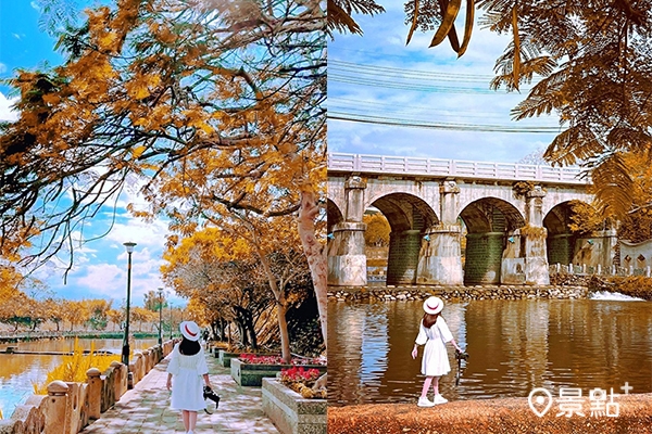 金黃樹葉搭上充滿古樸氣息日式拱橋，能拍出宛如電影場景的浪漫美照。（圖／yuxin_ling）