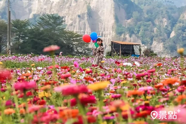 繽紛的波斯菊、百日草花海搭上遠處的小黃山斷崖，能拍出壯闊的迷人景緻。（圖／aday0530）