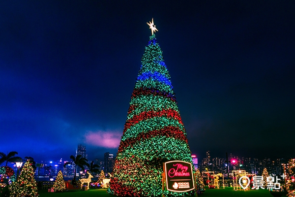 香港最大戶外巨型聖誕樹於西九文化區藝術公園登場。