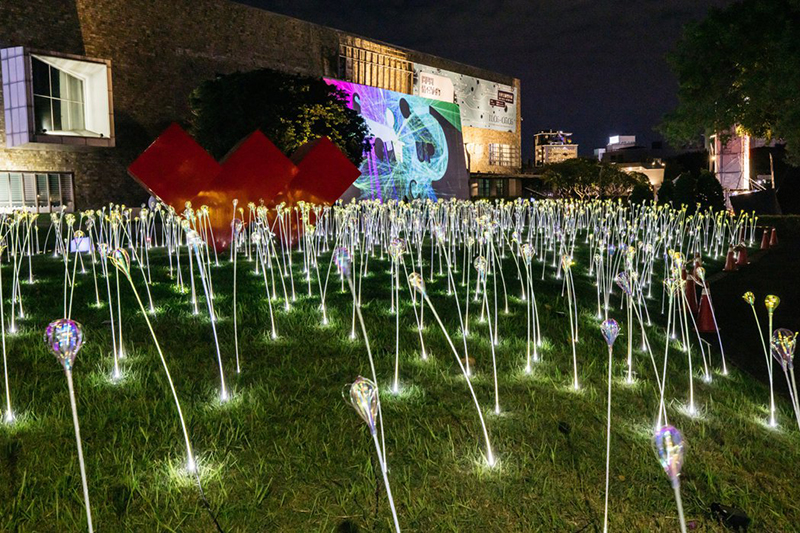 蔡宜婷 〈植光花〉