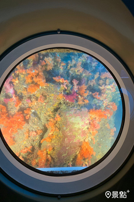 西歸浦潛艇帶你去看海底下超過40米的水中美景。