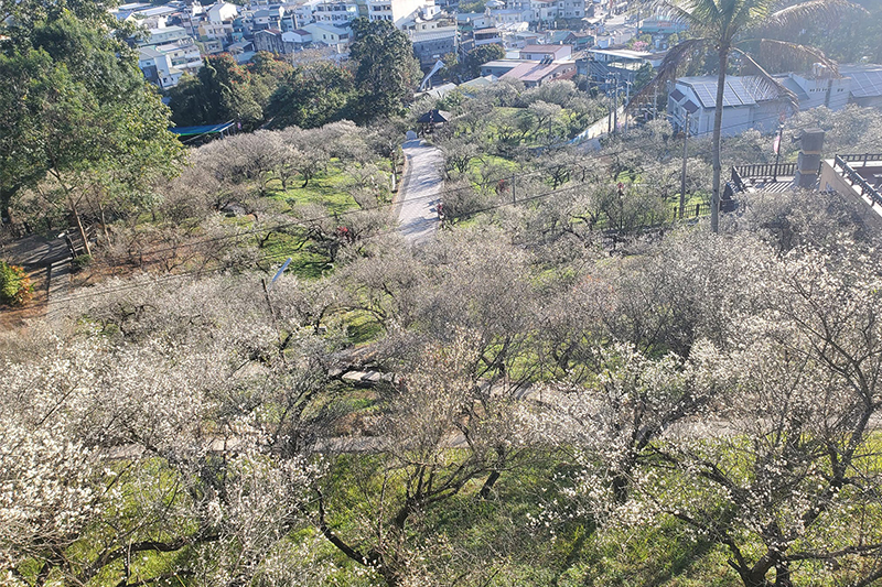 （圖／梅山公園，以下同）