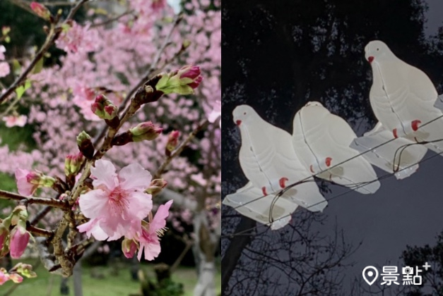 台灣燈會國父紀念館翠湖展區有美麗的櫻花綻放，還有趣味風格白鴿燈飾作品。（???? / 景點+ 張盈盈，以下同）