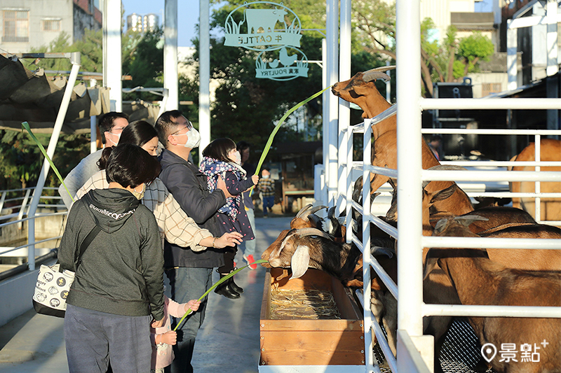 購票入場之後，可以拿著一支牧草和小包飼料去餵食小動物。