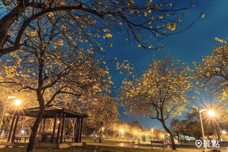 廍子公園黃金風鈴木夜景。（圖／lambert6200）