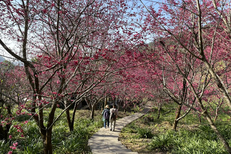 圖／沐心泉農場