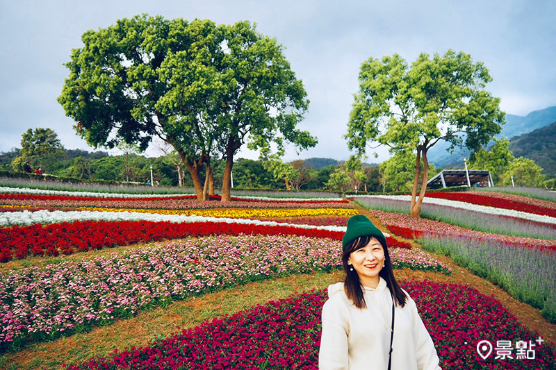 三層崎公園花海小山坡被稱為台版富良野花田，周邊景點可來一場北投考古小旅行。(圖／cheriechang1217)