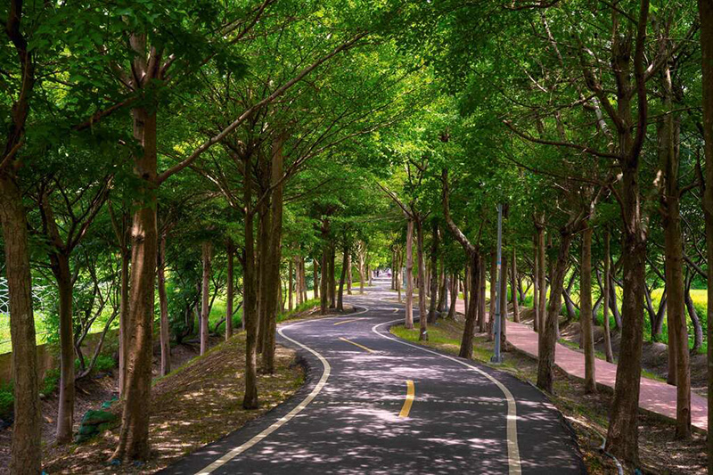 潭雅神綠園道波浪道。（圖 / 台中市政府）