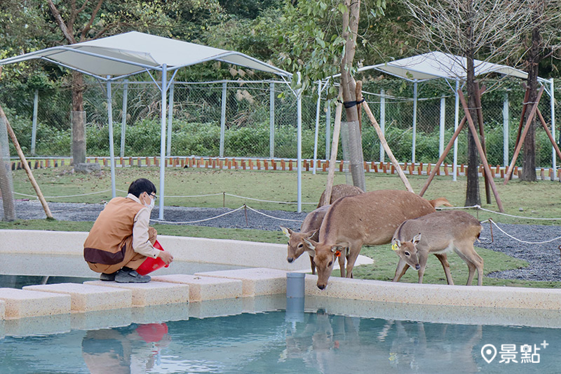 專屬動物泳池，提供園區動物們更舒適的環境。