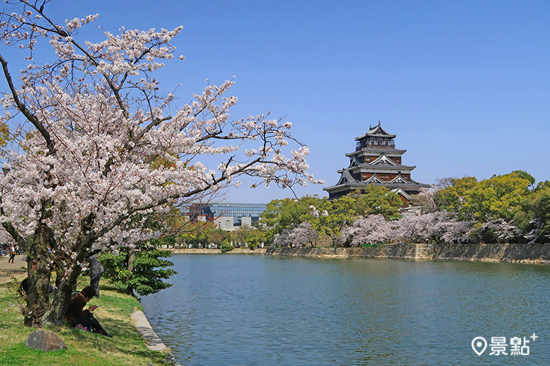 莊嚴的廣島城與爛漫的櫻花相映成趣。