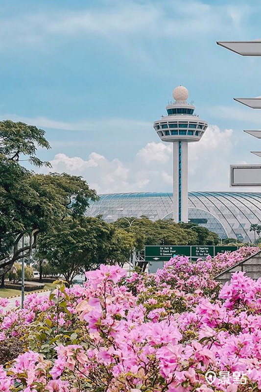 全新樟宜區導覽之旅展現新加坡東部風光。