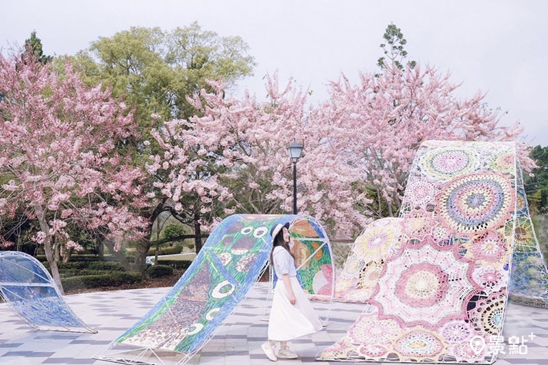 竹崎親水公園花旗木編織藝術同框花景。(圖／miss9290，下同)