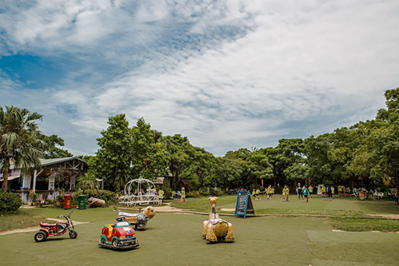 中央大草坪提供孩子可以盡情玩耍。