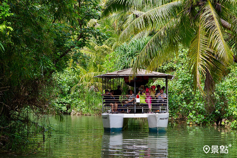 乘坐遊船前進泰拉佛佛河道，猶如置身在小型亞馬遜叢林。