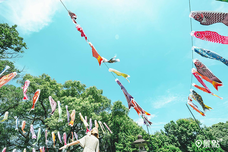 上百面鯉魚旗於空中飄逸，成為全台最美神社打卡亮點！（圖／桃園神社，以下同）