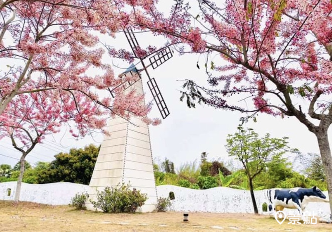 圖 / 林鳳營小7門市