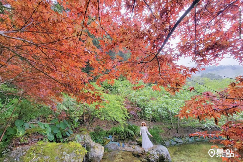 拉拉山祕密花園楓紅美景。（圖／yijiun_lee，以下同）