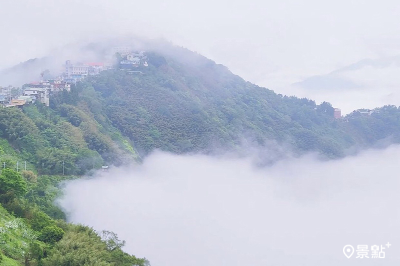 沿途還有壯闊雲海相伴。