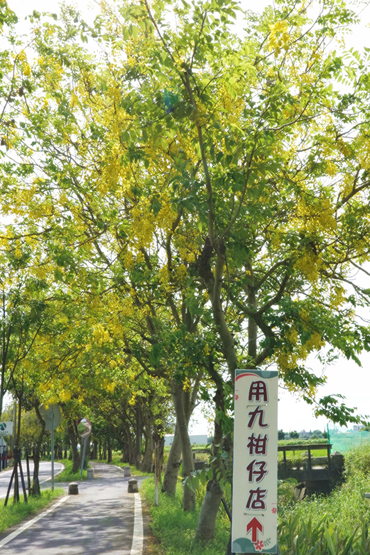 賞完阿勃勒後，可順遊附近景點一日嘉義玩透透。(圖／嘉義縣政府)