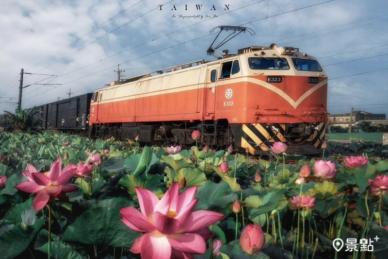  荷花與駛過的列車相映，形成苗栗通霄的夏限定美景。（圖／imma_pon）