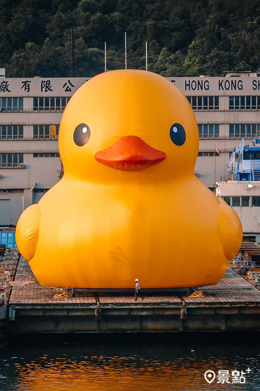 巨大黃色小鴨再度現身亞洲，引發粉絲們高度關切！