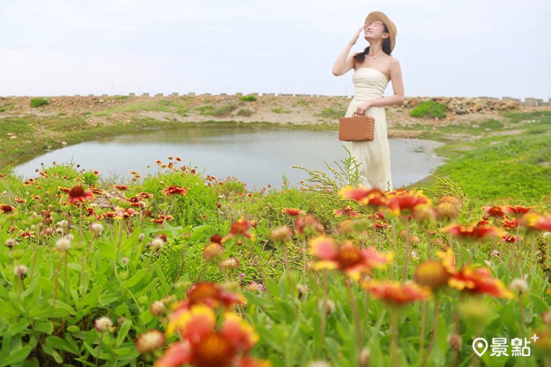 在苗栗後龍好望角風景區的海角樂園同時能欣賞到天人菊與平地版嘉明湖 。（圖／jamie_yun_）