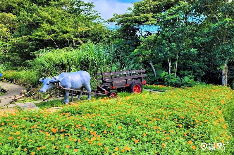 充滿農村意象的造景。