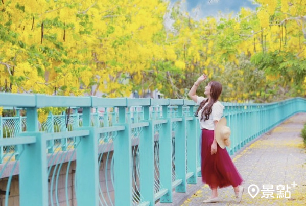 阿勃勒花海經典花景，Tiffany藍水岸護欄步道是取景好地方！(圖 / yishan1128)