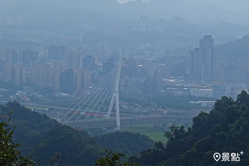 清晨時分的斜張橋。