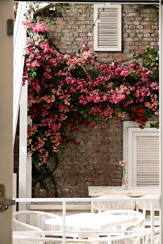 由藤木與紅花點綴的紅磚老牆，讓 patio 成為最愜意品酒的微醺天地。