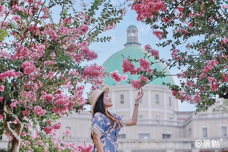亞洲大學紫薇花開在巴洛克圓頂建築前，彷彿秒飛歐洲的浪漫美景。(圖／dalin209，以下同)