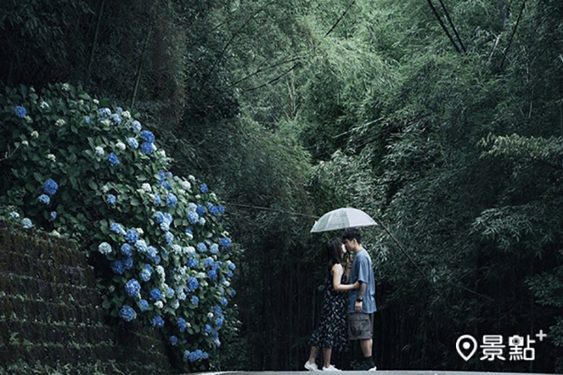 高山青雨後朦朧的繡球花景相當浪漫。 (圖／yy_aboutus)