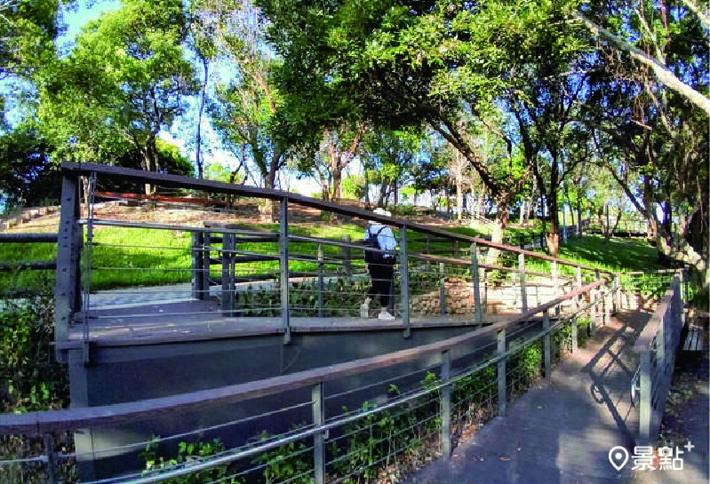 大古山公園步道之字形低障礙登山步道以高架棧道設計，舒適易於行走，老少咸宜。（圖／桃園市政府）